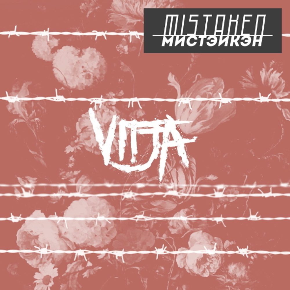 Vitja / Mistaken (CD)