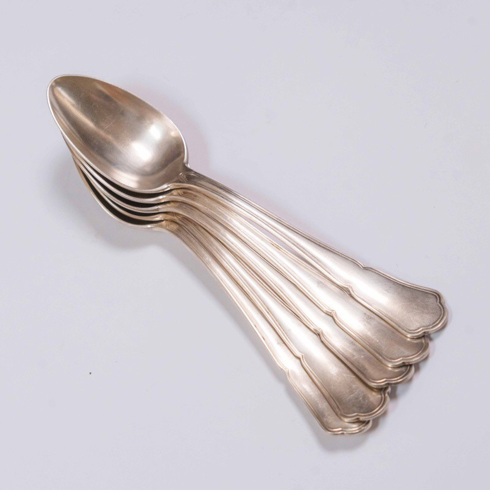 Набор столовых ложек (5 шт.)