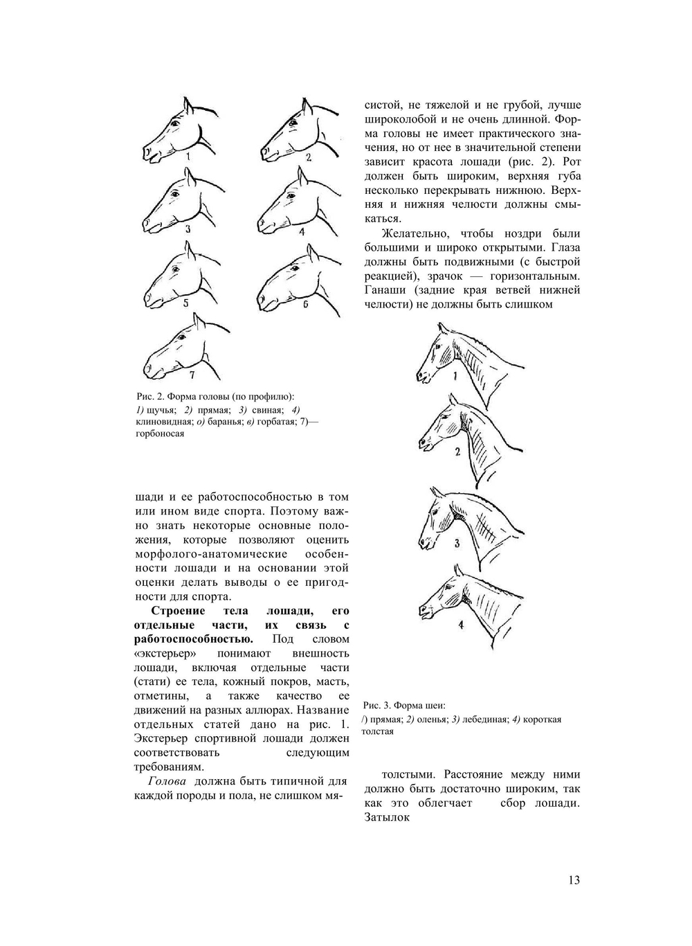 Конный спорт. Пособие для тренеров, преподавателей, коневодов и спортсменов | Э. Эзе