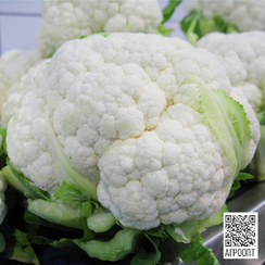 Шарлот F1 семена капусты цветной (Bejo / Бейо)