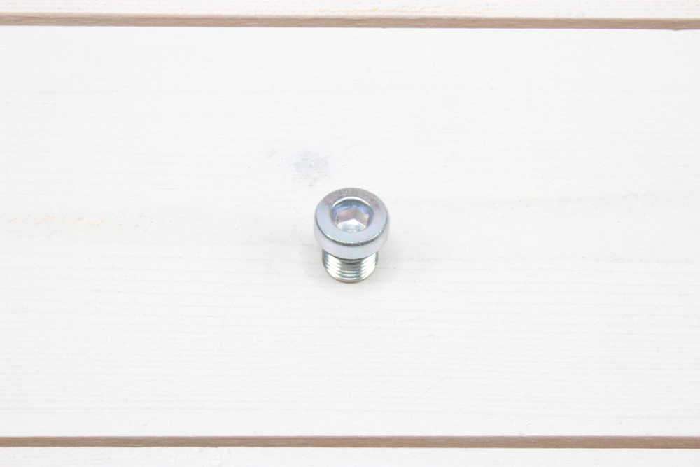 Заглушка Cummins резьбовая М10х1,0х13,5 13795