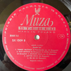 Винтажная виниловая пластинка LP Arp Life Jumbo Jet (Польша 1977)