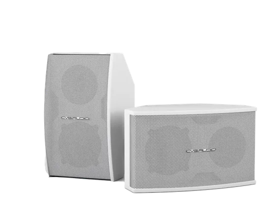 CVGAUDIO AXE5:8W нсталляционная акустическая система, мощность – 70W(AES)/140W(max)
