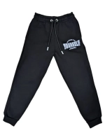 Спортивный костюм с начесом