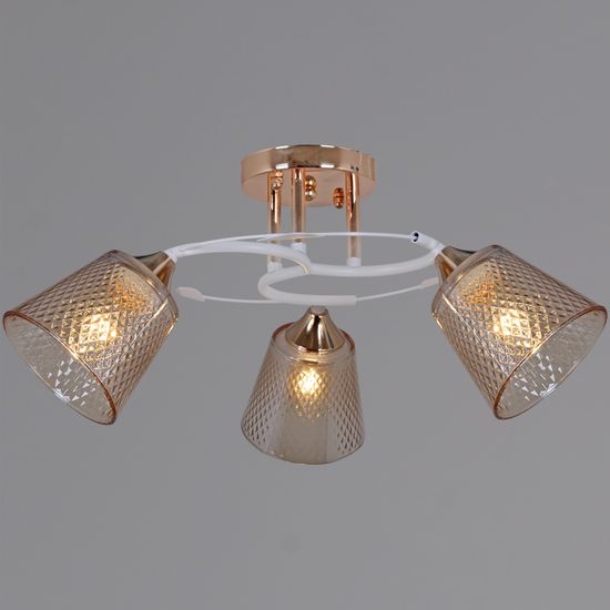 06003-0.3-03 FG+WT светильник потолочный