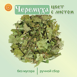 Черемуха цвет с листом.