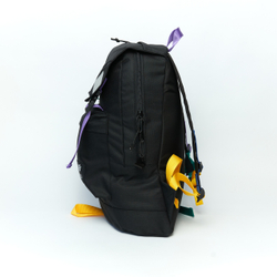 Рюкзак Citypack черный/цветной