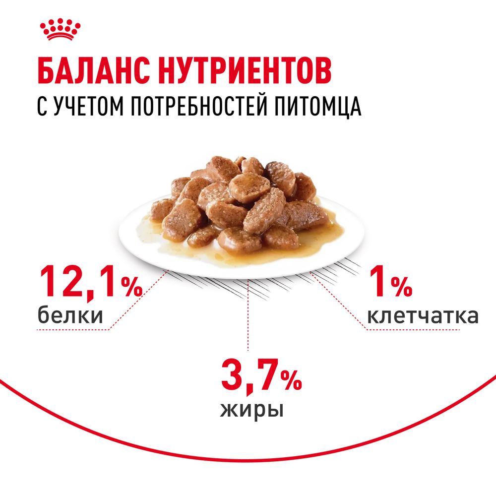 Пауч Royal Canin Hair&Skin Care для взрослых кошек для поддержания здоровья кожи и красоты шерсти, тонкие ломтики в соусе Пауч Royal Canin Hair&Skin Care для взрослых кошек для поддержания здоровья кожи и красоты шерсти, тонкие ломтики в соусе