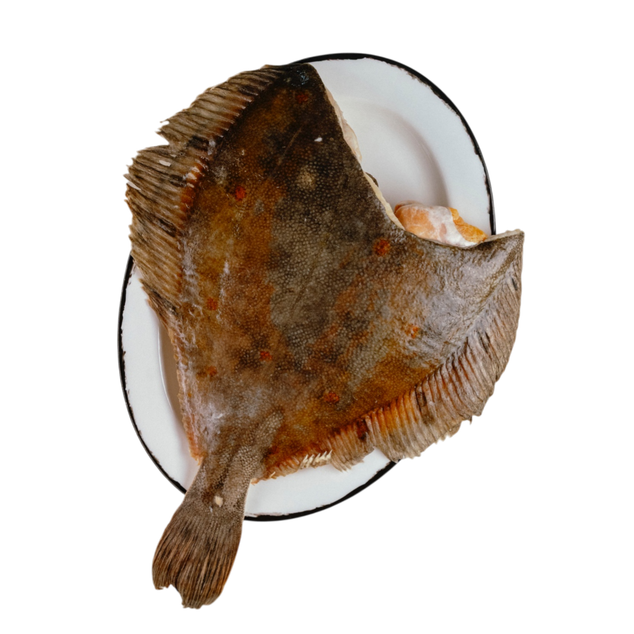 Камбала, с/м, 1+ кг