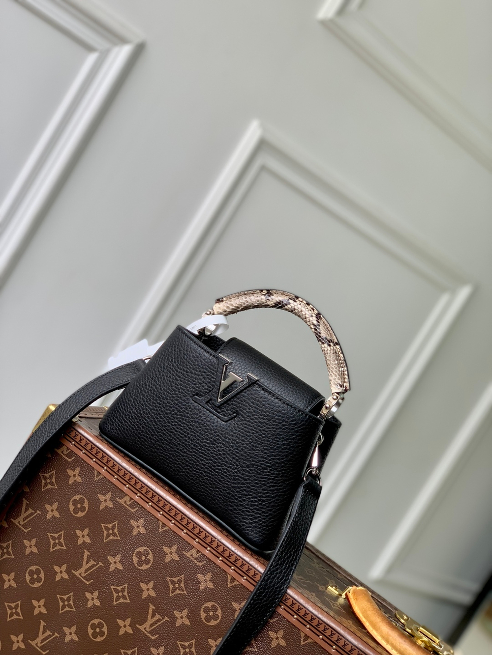 Louis Vuitton Capucines Mini