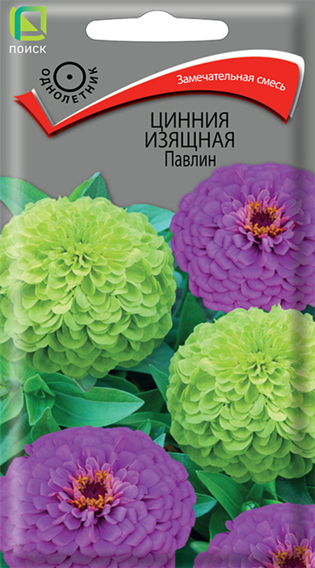 Цинния изящная Павлин