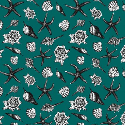 Ракушки на бирюзовом фоне