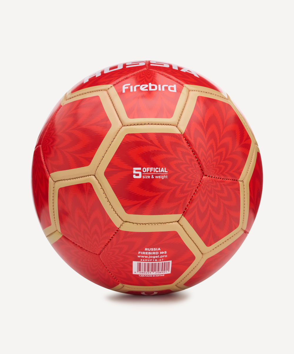 Мяч футбольный Flagball Firebird №5