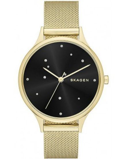 Наручные часы Skagen SKW2385