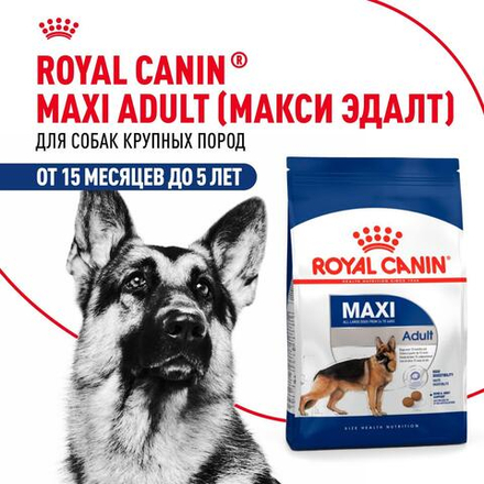 Royal Canin Maxi Adult Корм сухой для взрослых собак крупных размеров от 15 месяцев до 5 лет 3 кг