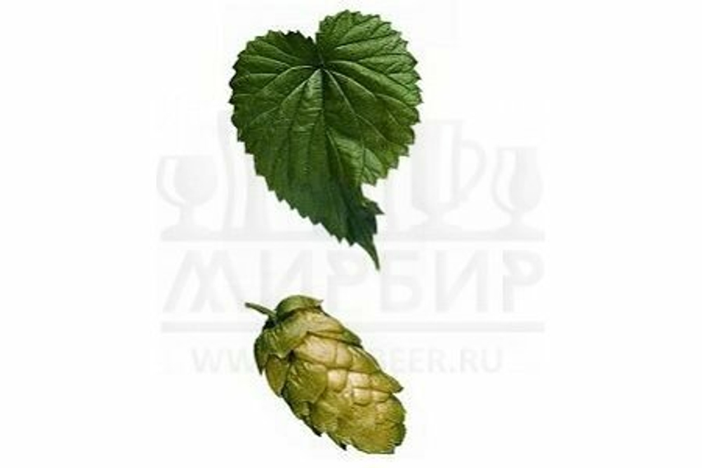 Хмель Northern Brewer, 1 кг