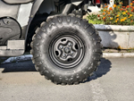 Квадроцикл BALTMOTORS BM700 EFI серый