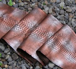 Кожа питона SK-10