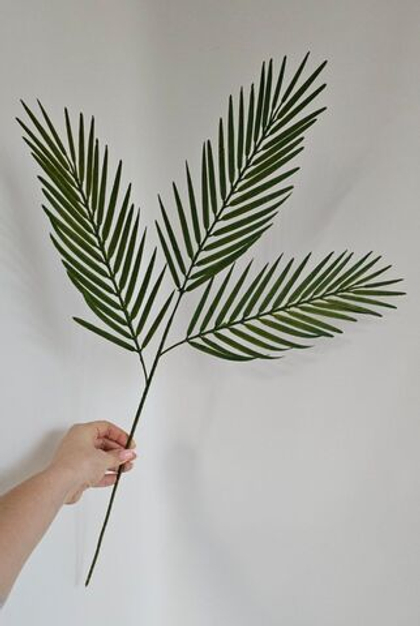 Ветка пальмы Арека / Арт 9092