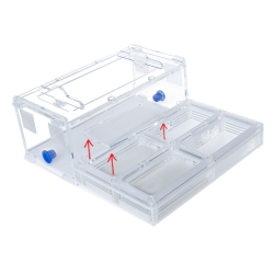 Муравьиная ферма Direct