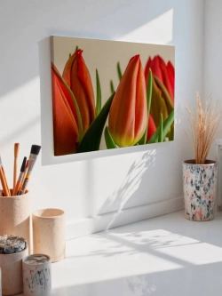 Картина на стену 40 X 50 Тюльпаны