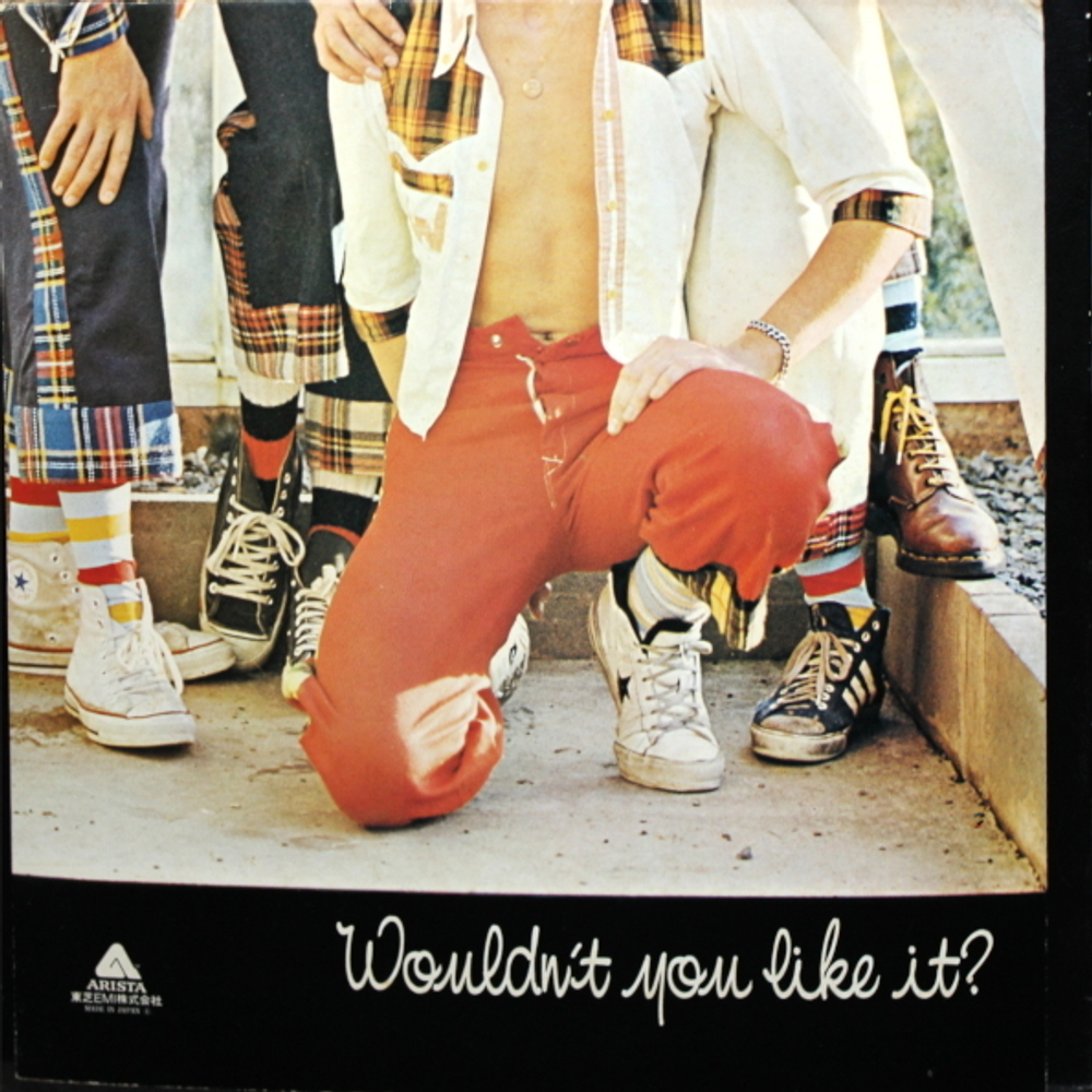 Bay City Rollers / Wouldn't You Like It? (LP)