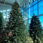 ель высотная "Финская" с встроенной гирляндой