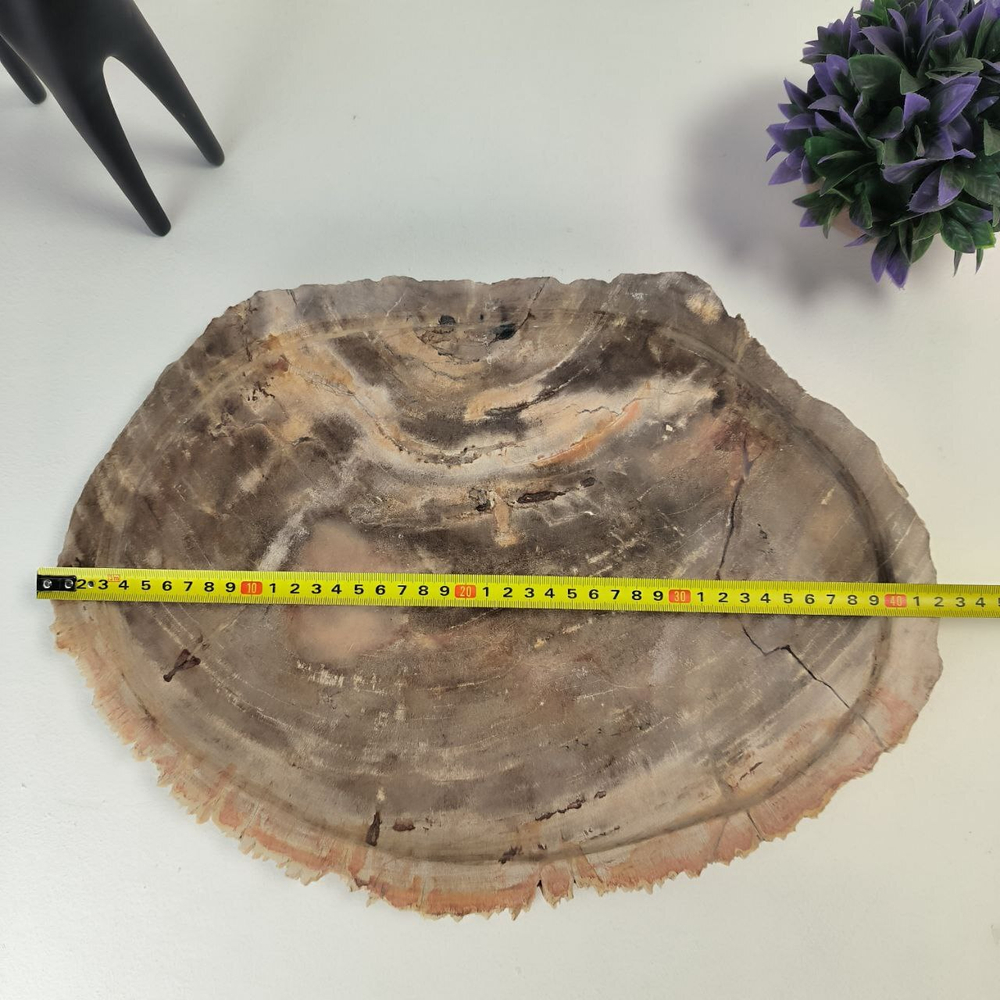 Набор из окаменелого дерева 4 предм Fossil Set NF-63065 поднос 30см*42см
