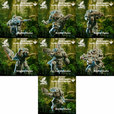 Space Marines Dark Angels Team