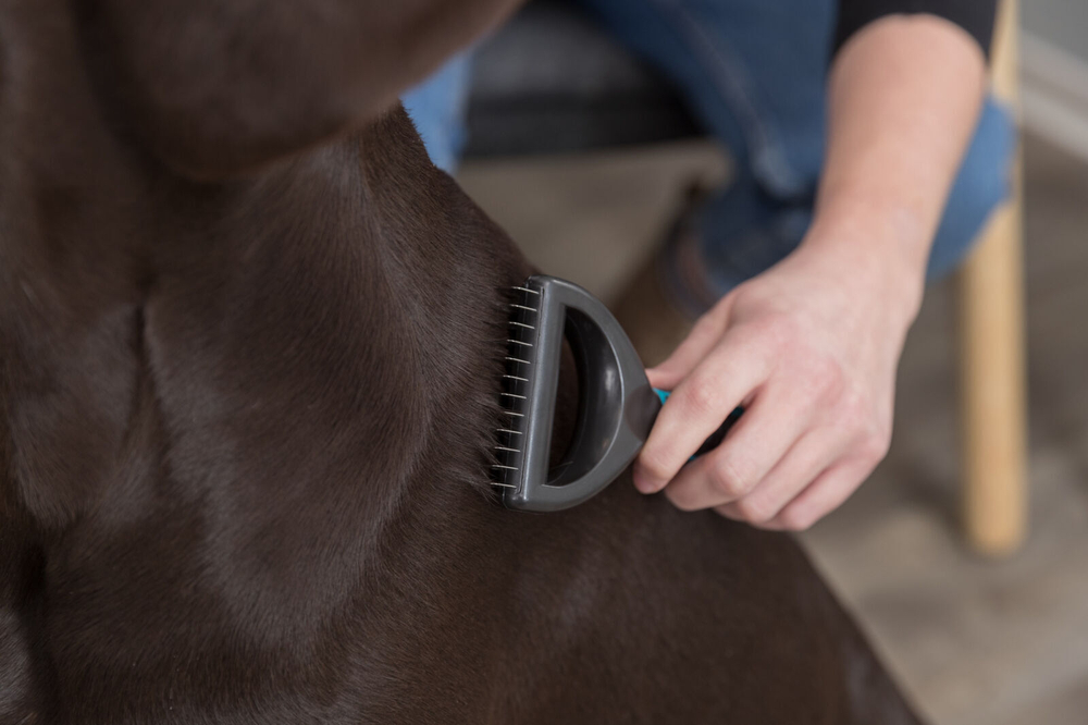 Колтунорез для собак Trixie Universal Groomer L, размер 7х18см., черный