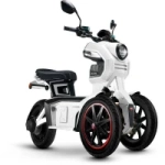 Электроскутер трехколесный CityCoco Skyboard BR-60 PRO VIP 2000W 20AH/60V Trike