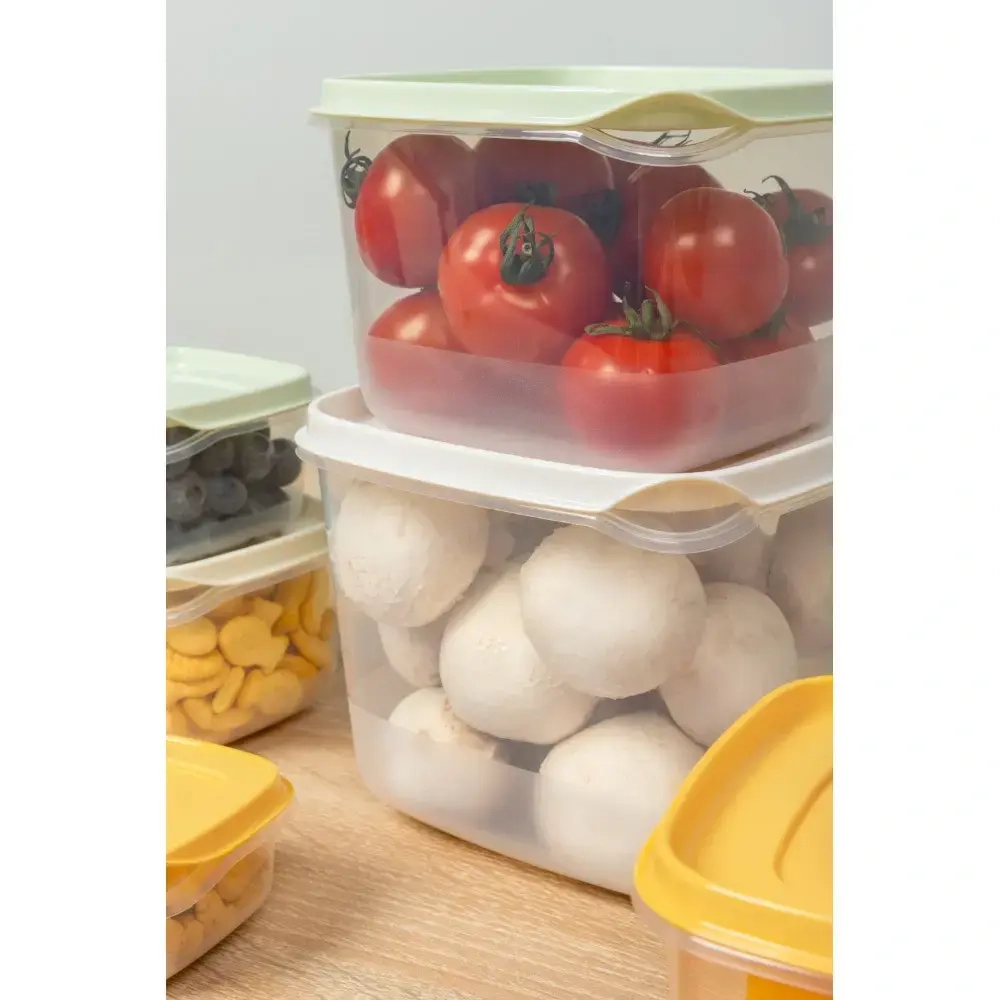 Набор контейнеров 5шт (0,12л+0,25л+0,45л+0,75л+1,2л) микс