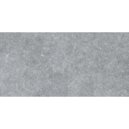 Exagres - Ardenas Gris - напольная плитка, C1/R9, 1200x600 мм