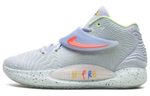 Кроссовки Nike Kd 14 14 "Enspire Friends And Family"
