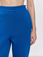 Брюки женские с начесом (синий)