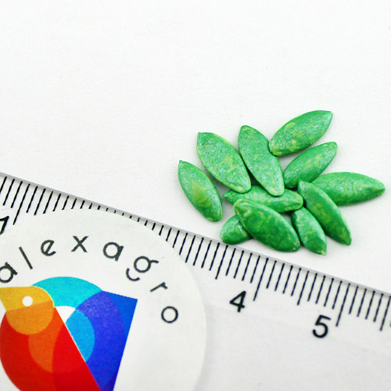 ЙИЛДО семена огурца Bejo отзывы – фото 5