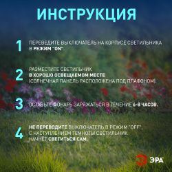 Светильник уличный ЭРА ERAUF012-11 на солнечной батарее | Садовые декоративные светильники