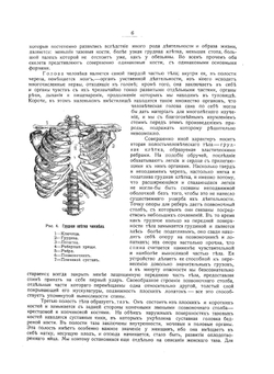 Женщина как домашний врач | А. Фишер-Дюкельман