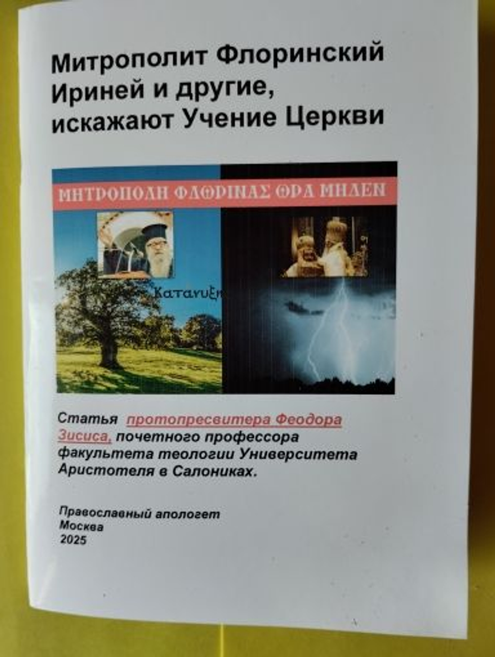 Митрополит Флоринский Ириней и другие, искажают Учение Церкви.
