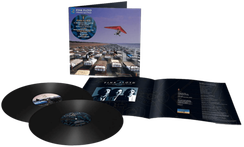 Vinil \ Пластинка \ Vynil A MOMENTARY LAPSE OF - Pink Floyd