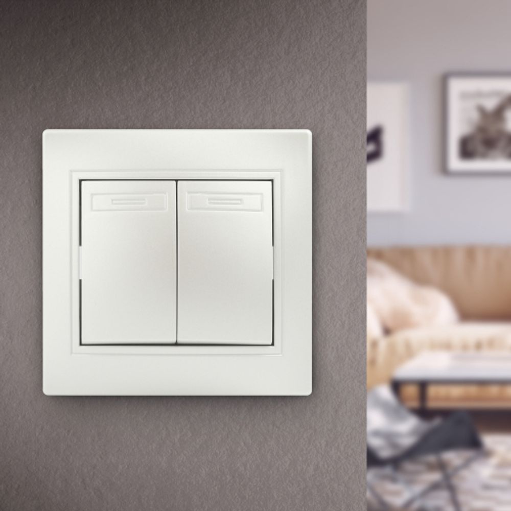 Выключатель Intro Plano 1-104-06 двухклавишный, 10А-250В, IP20, СУ, перламутр