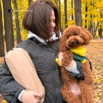 Пенная подушка для путешествий BuyTour (в дорожном чехле)