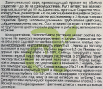 Астра Помпонная Вишнево-Красная 0,2 г СМЦ-428