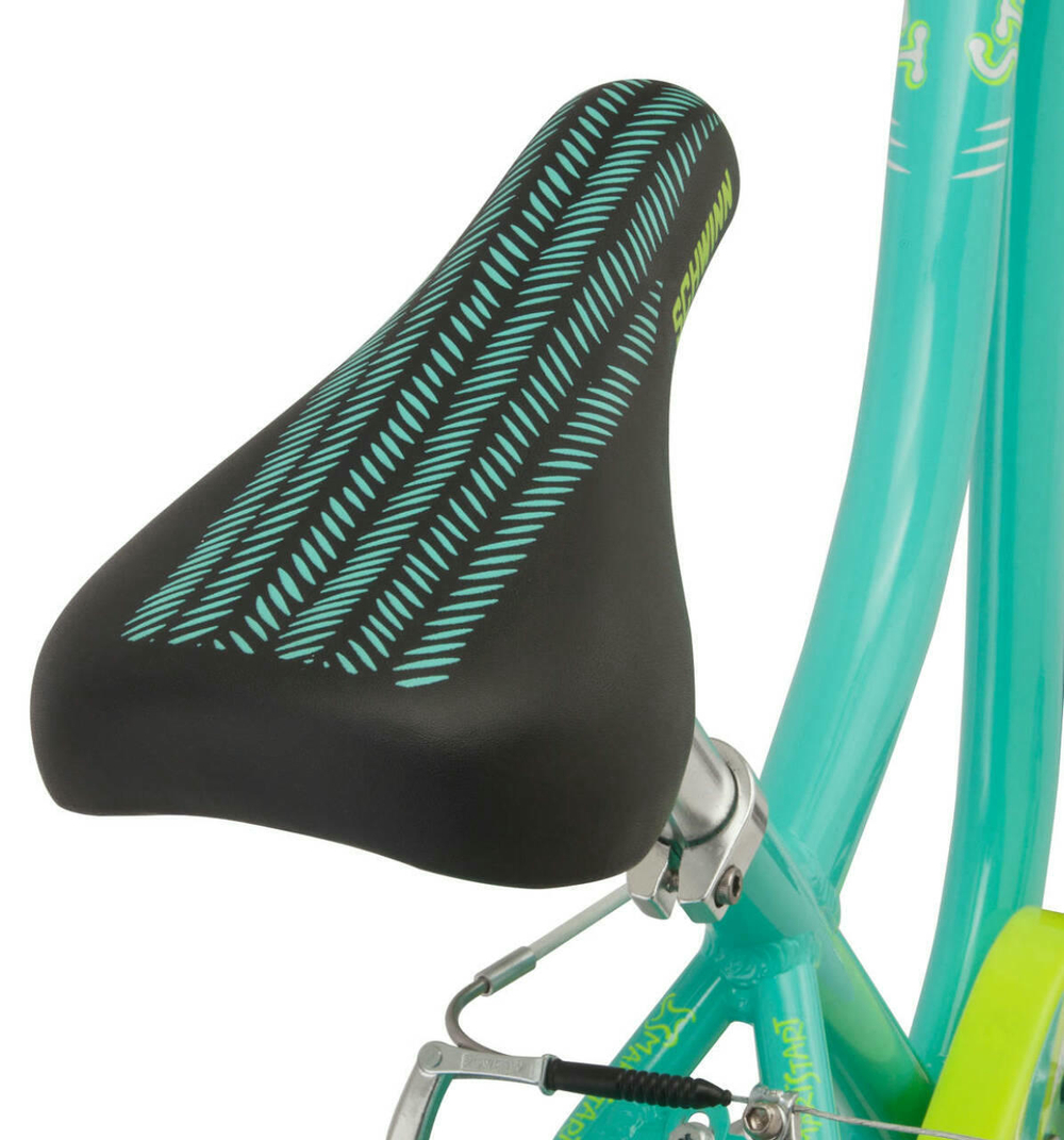 Детский велосипед Schwinn Stardust (2019)
