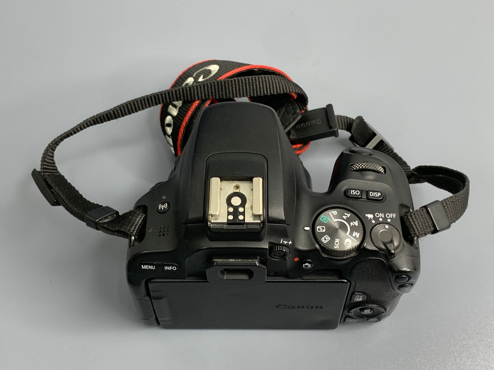 Canon EOS 200D 55.400 кадров