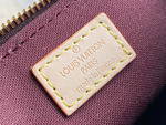 Louis Vuitton Nano Turenne