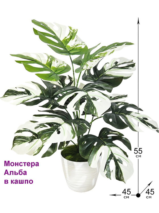 Искусственная Монстера Альба 55см в кашпо