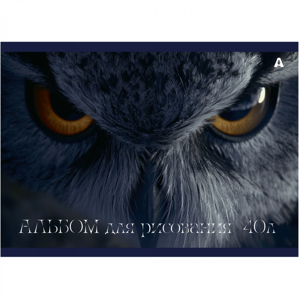 Альбом для рисования А4 40л, Alingar, гребень, мелованный картон(стандарт) 210г/м2, офсет 100 г/м2,, "Сова", 1 дизайн в пленке т/у
