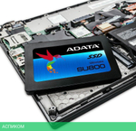 SSD диск A-Data 256GB ASU800SS-256GT-C