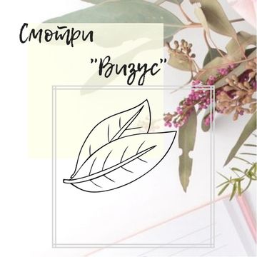 «Визус» — видеть главное…